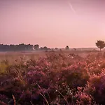 2 2-persoons * Voorthuizen