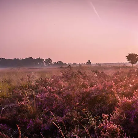 2 2-persoons * Voorthuizen