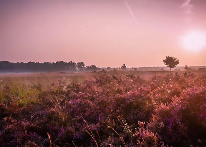 2 2-persoons * 福尔特赫伊曾